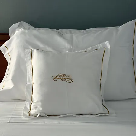 Hotel Cansignorio 3*